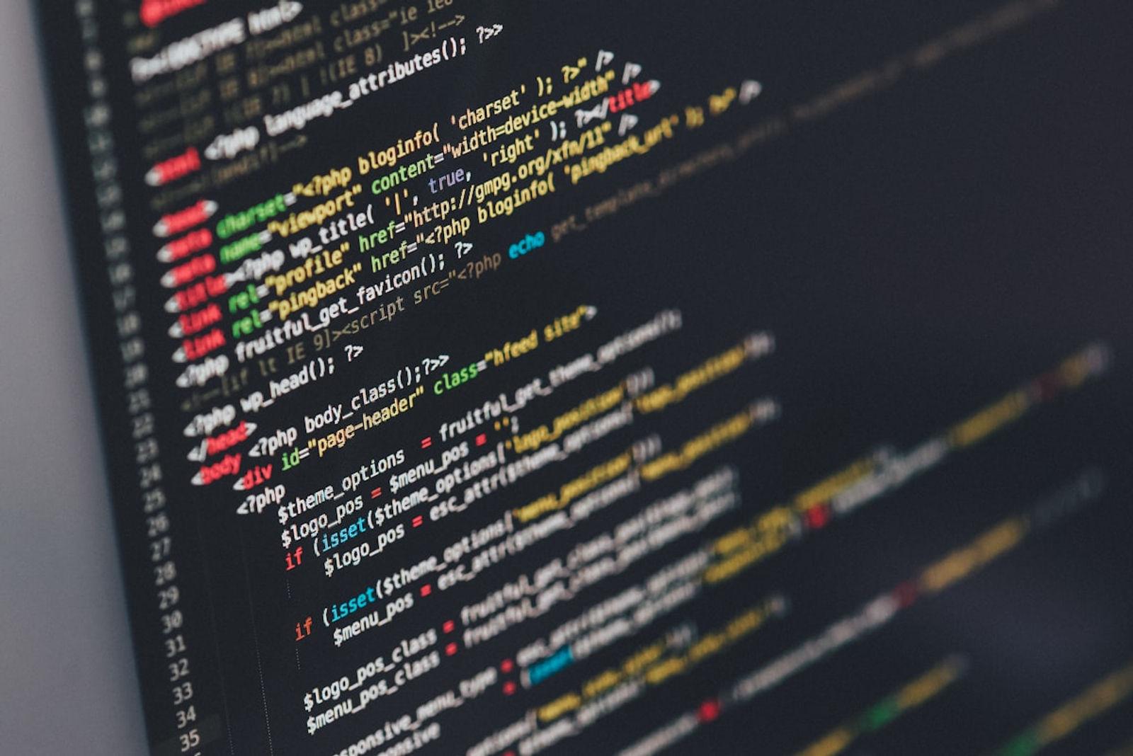 WordPress vs custom web development comparison